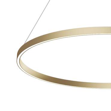 Подвесной светильник Maytoni MOD058PL-L54BSK Rim Modern