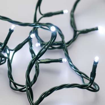 Светодиодная гирлянда ARD-STRING-HOME-5000-GREEN-50LED-STD WHITE (230V, 3.5W) (Ardecoled, IP20) 025766