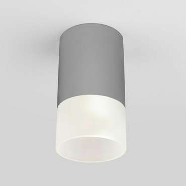 Уличный потолочный светильник Light LED 2106 IP54 35139/H серый