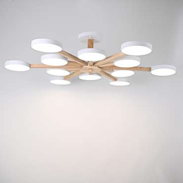 Потолочный светильник TURNA L12 White