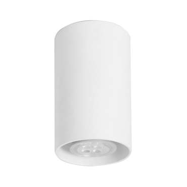 Потолочный светильник Tubo белого цвета