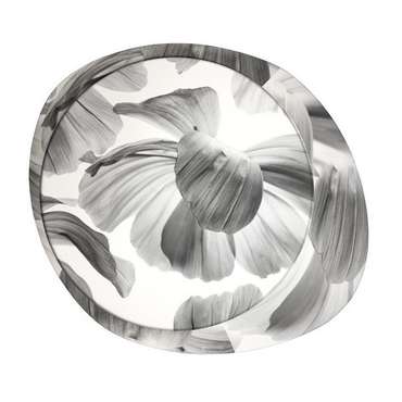 Светильник настенно-потолочный Foscarini Wagashi piccola, черный