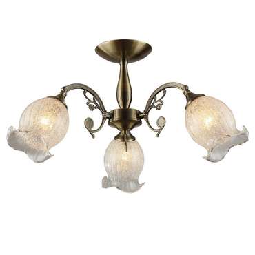 Потолочная люстра IDLAMP "Ernest"