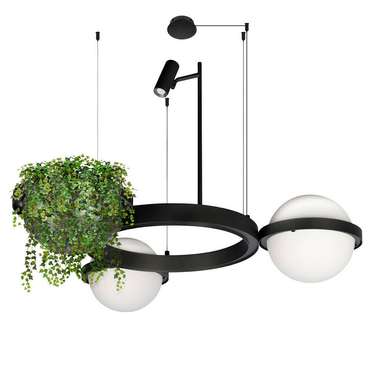 Люстра Loft It Jardin 10121/2