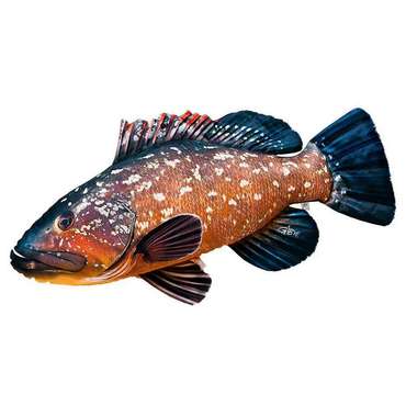 GABY The Dusky Grouper Giant подушка