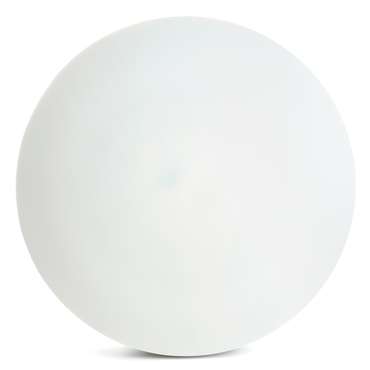 Потолочный светильник AL1600 51109 (акрил, цвет белый)