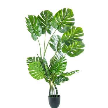 Декоративное растение Пластик Monstera 150 cm