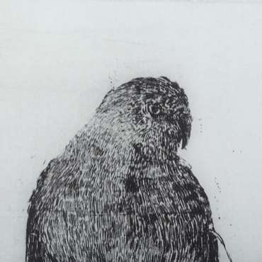 Полотно 60 x 2,5 x 90 cm Птица