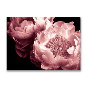 Картина на холсте Розовые пионы №2 50х70 см