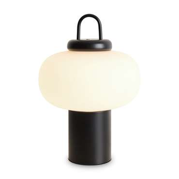 Настольный светильник Freya FR6175TL-L10B Take LED