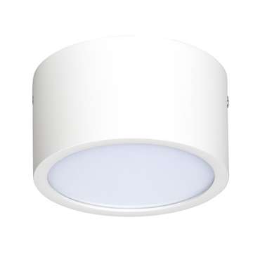 Потолочный светодиодный светильник Zolla белого цвета
