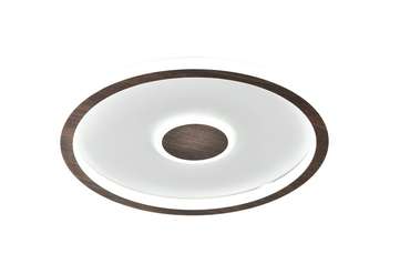 Потолочный светильник Freya FR5421CL-L80BR Orbit Modern