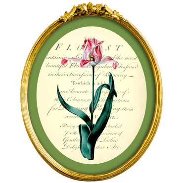 Картина Эпоха тюльпанов версия 9 в раме Бетти