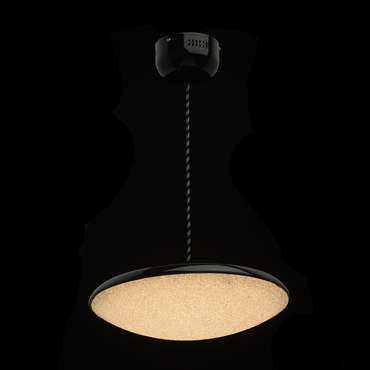 Подвесной светодиодный светильник Перегрина черного цвета