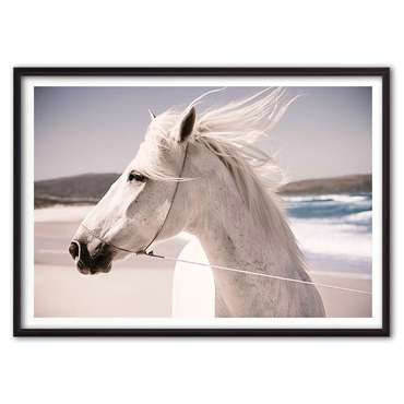 Постер в рамке Белая лошадь 5 21х30 см