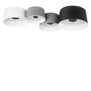 Светильник потолочный Loft It Duo 10360/4