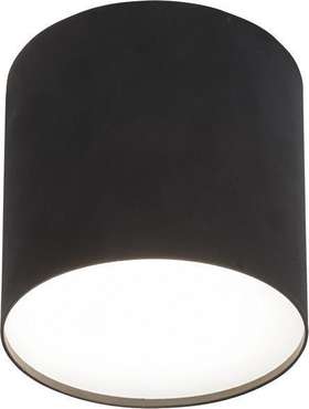 Потолочный светильник Point Plexi черного цвета