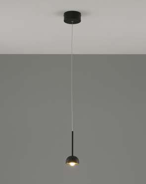 Подвесной светодиодный светильник Fiona черного цвета