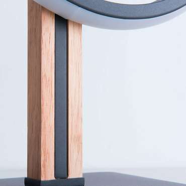 Декоративная настольная лампа Arte Lamp FLUIDO A3913LT-10BK