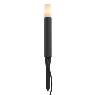 Ландшафтный светильник Talpa черного цвета