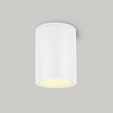 Уличный потолочный светильник Arlight LGD-Forma-Surface-R90-12W Warm3000 037261