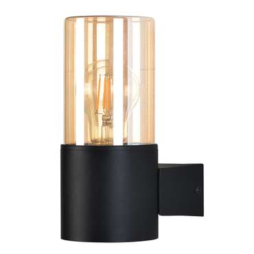 Уличный настенный светильник Arte lamp SEGINUS A6515AL-1BK