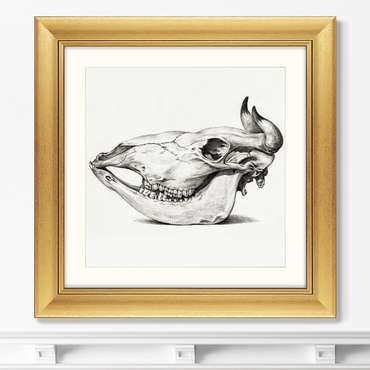 Репродукция картины в раме Skull №I, 1816г.