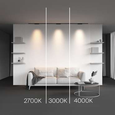 Трековый светильник Technical TR193-1-10W4K-M-B Points Магнитная трековая система 5мм LEVITY