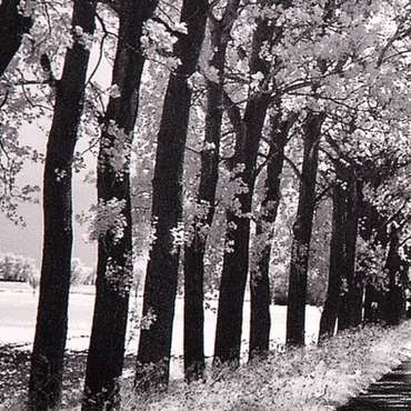 Постер Follow Me