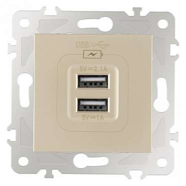 Розетка USB, без рамки 203.46-1.shampan