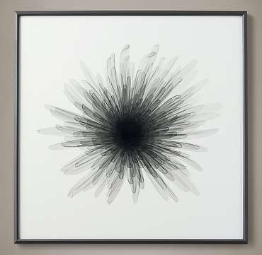 Фотография Nick Veasey X-ray chrysanthemum bloom