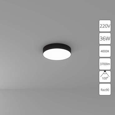 Потолочный светильник Arte Lamp FADO A6635PL-1BK