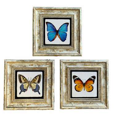 Набор из трех картин на камне Бабочки 20x20 3CDD-90 в раме серо-бежевого цвета