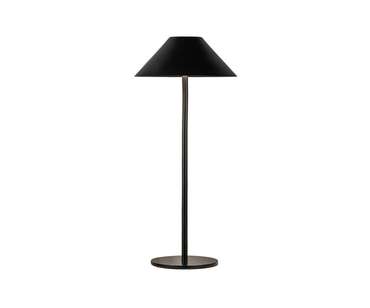 Настольная лампа Паола черный d16 h36 Led 2,5w (3000-6000K)