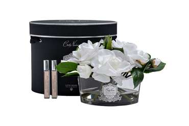 Диффузор Oval White спрей Charente Rose 