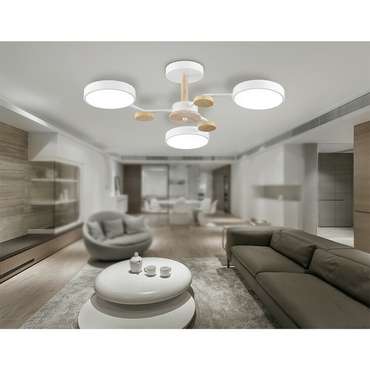 Светильник потолочный Ambrella Comfort FL4855
