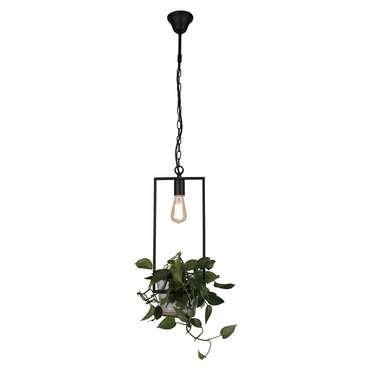 подвес Situla металл, стекло 1*E27*60W, excluded
