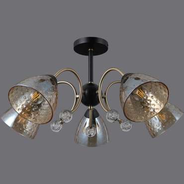 IL0230-5CSQ-29 BK AB светильник потолочный