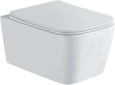 Комплект 3 в 1 инсталляция Rapid SL