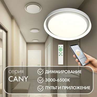 Потолочный светильник Cany DK6516-WH (пластик, цвет белый)