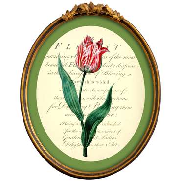 Картина Век тюльпанов версия 11 в раме Тиффани