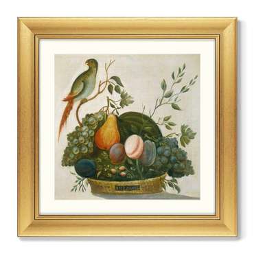 Репродукция картины в раме Basket of Fruit with Parrot, 1777г.