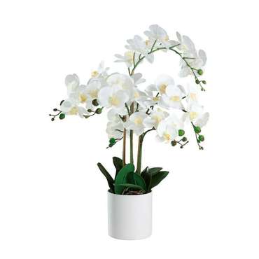 Искусственное растение Hyuga белого цвета