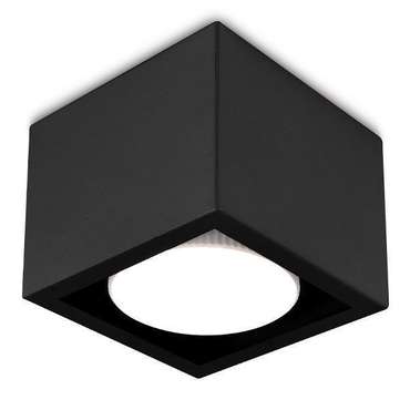 Потолочный светильник Techno Spot черного цвета