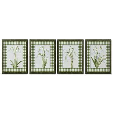 Картина Зеленый Бежевый Shabby Chic Ботанические растения 30 x 2,5 x 40 cm (4 штук)