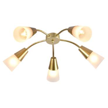 Потолочная люстра Aquilegia 1100/5P Gold (стекло, цвет белый)