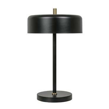 Декоративная настольная лампа Arte Lamp SKAT A7052LT-2BK