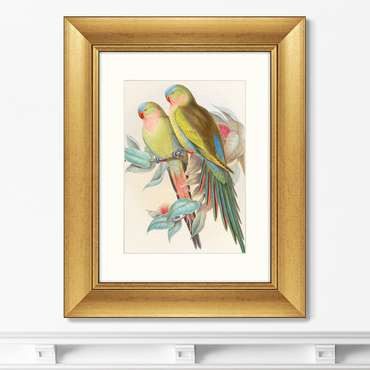 Репродукция картины Love parrots 1850 г.