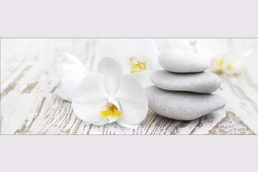 PRO-Art Репродукция  Glas Art White Spring III