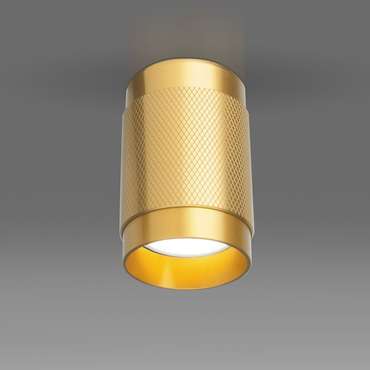 Накладной потолочный светильник GU10 золото DLN109 GU10 Tony